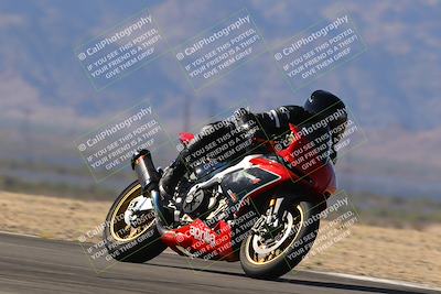 media/Nov-11-2023-SoCal Trackdays (Sat) [[efd63766ff]]/Turn 8 Set 2 (1040am)/